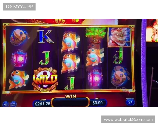 老虎机单机版下载免费体验多样游戏玩法尽在掌握